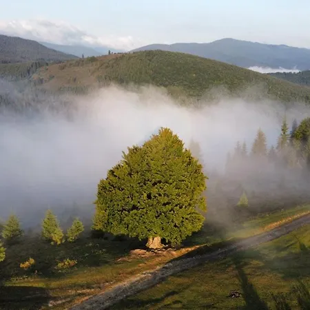 Kam In 3* Krivopol'ye