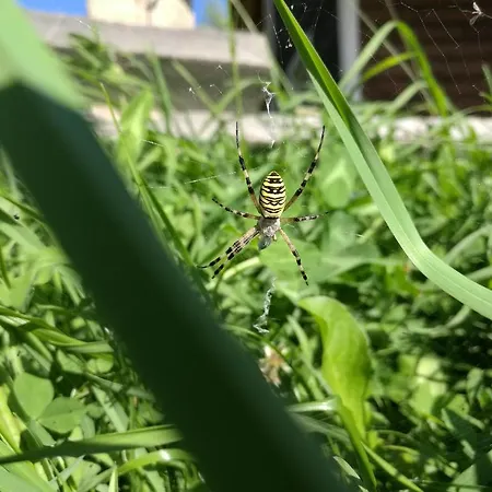 فندق Kam In Krivopol'ye