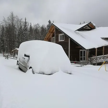 Kam In * Krivopillja