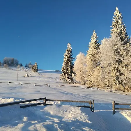 Kam In Vendégház Krivopillja