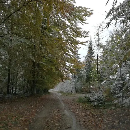 Kam In Vendégház *