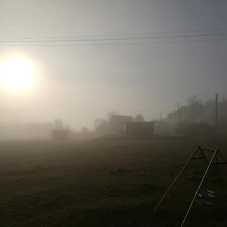 Kam In Krivopol'ye
