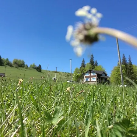 Vendégház Kam In Krivopillja