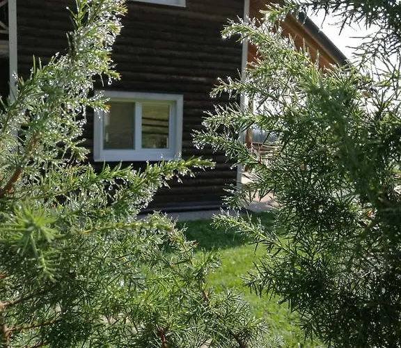 Hotel Kam In Krivopol'ye