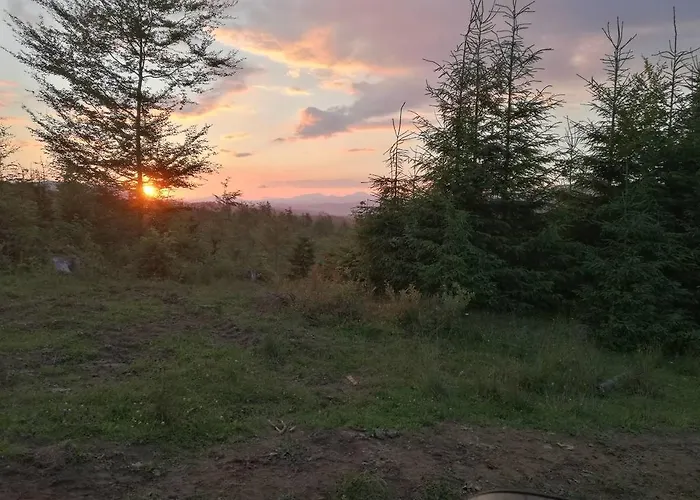 Kam In Krivopol'ye